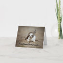 Search for cute note cards Bunny