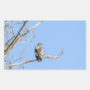 Search for eagle feathers stickers Wildlife