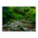 Search for streams posters Ferns