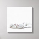 Search for persian canvas prints Animal