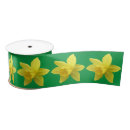 Search for daffodil ribbon Yellow flowers
