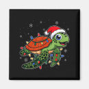 Search for turtled magnets Christmas coupon deals