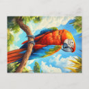 Search for ara horizontal postcards Macaw