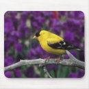 Search for purple iris mouse mats Summer