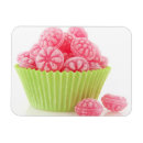 Search for sweets candy magnets Cupcake