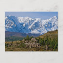 Search for altai postcards Kazakhstan