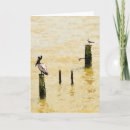 Search for seabird cards Nature