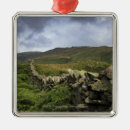 Search for fence christmas tree decorations Agriculture