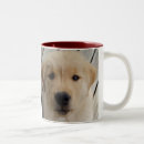 Search for pups mugs Retriever