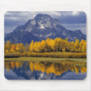 Search for mirror image mouse mats Landscape