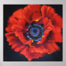 Search for iceland poppies posters Floral