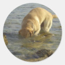 Search for mondays stickers Animals