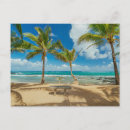 Search for coconut trees postcards Coconut palm tree