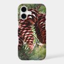 Search for pine cone electronics Xmas