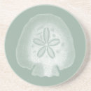 Search for sea shells coasters Sand dollar