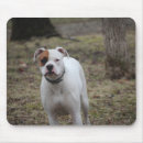 Search for boxer mouse mats Canine