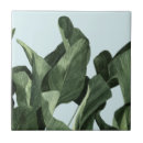 Search for palm leaf tiles Coastal
