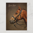 Search for eventing postcards Equestrian