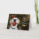 Search for yellow lab christmas cards Xmas