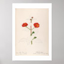 Search for sharpe posters Nature