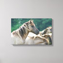 Search for australia canvas prints Brown