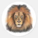 Search for king of jungle stickers Safari
