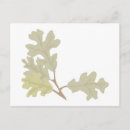 Search for thanksgiving save the date postcards Autumn