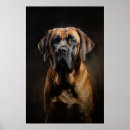Search for mastiffs posters Old english mastiff