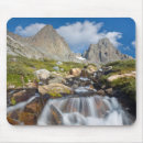 Search for ansel mouse mats Clean