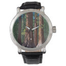 Search for tree watches Trunk