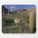 Search for pipe mouse mats Landscape