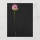 Search for single vertical postcards Black background