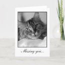 Search for black cat cards Tabby