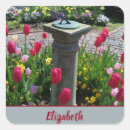 Search for tulip stickers Pink tulips