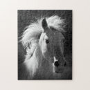 Search for black and white animal puzzles Photography