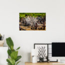 Search for historical posters Antique