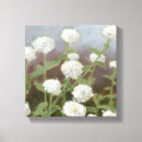 Search for studies canvas prints Florals