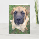 Search for puppy face cards Adorable