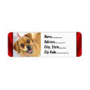 Search for cute cats return address labels White