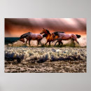 Search for horses galloping art Photograph