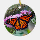 Search for orange and black christmas tree decorations Insect