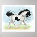 Search for gypsy horse posters Pony