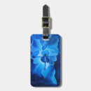 Search for concerto accessories Violin