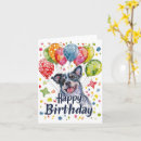 Search for blue heeler cards Cute