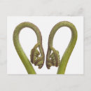 Search for sprout postcards Growth