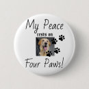Search for four animals badges Cat lover