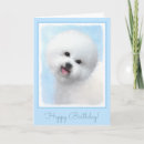Search for bichon frise birthday cards White