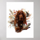 Search for irish setter posters Pet