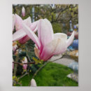 Search for spring bud posters Pink