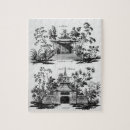 Search for archit Ceilings